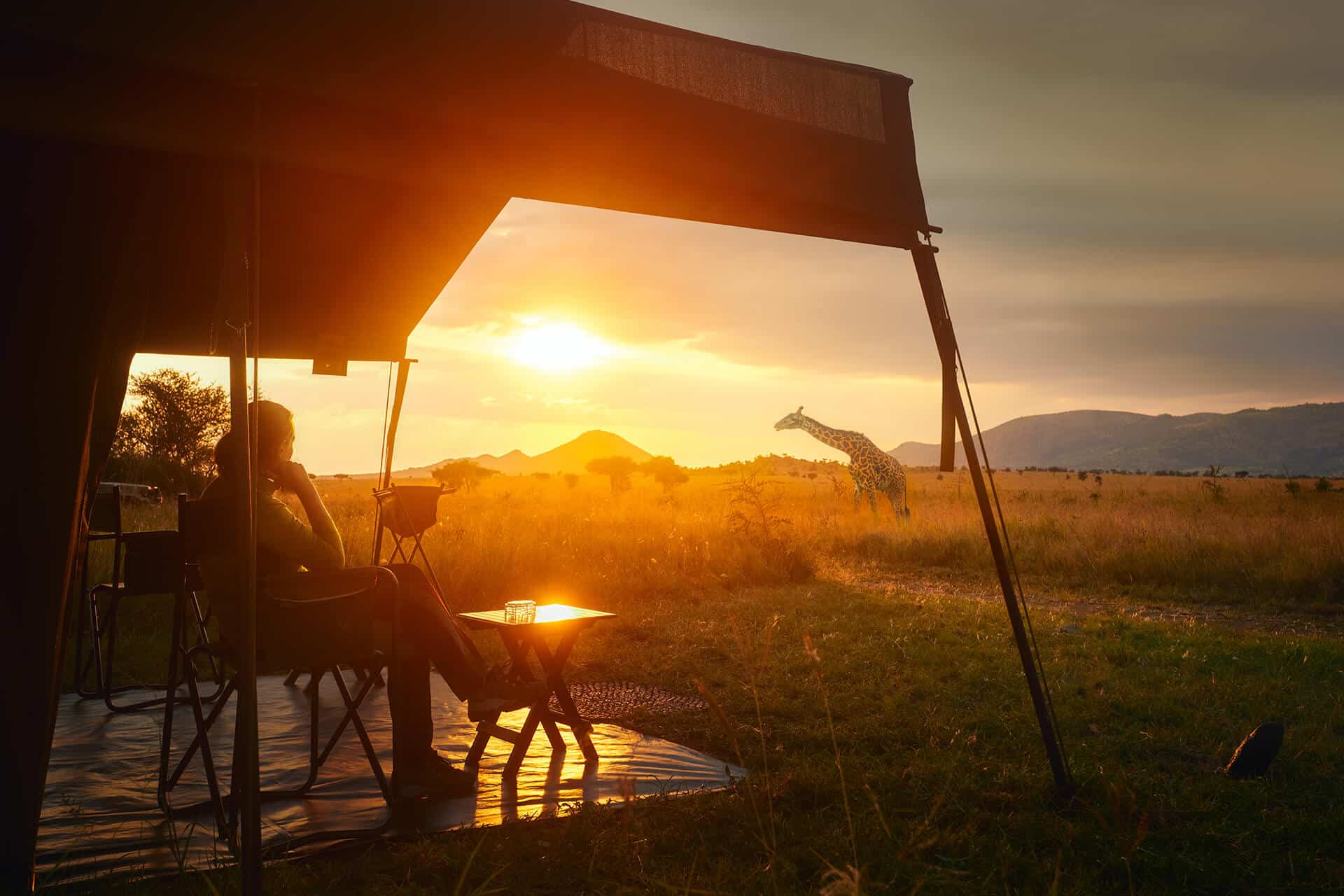 Guest relaxing at a luxury mobile safari tent at sunrise, watching giraffes roam the African savanna, offering an intimate and authentic wildlife experience in the wilderness.