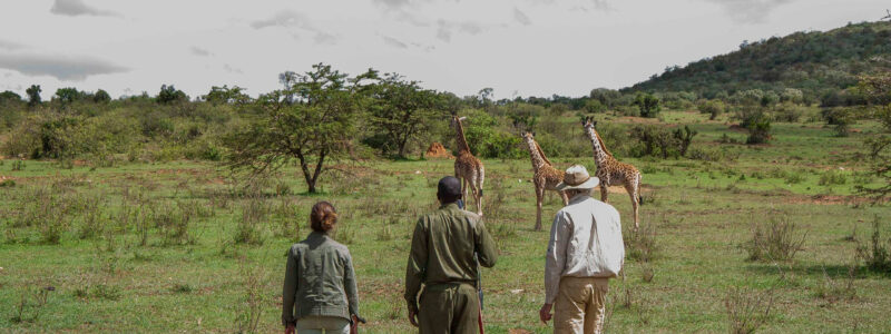 Entomoto+Camp+-+Bush+Walk_5