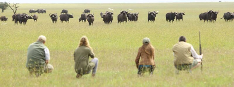 Ol-Pejeta-Bush-Camp-Walking-safari