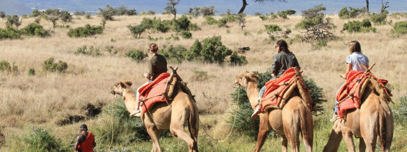 jimmy_greenwood_2013-02-28_09-37-50