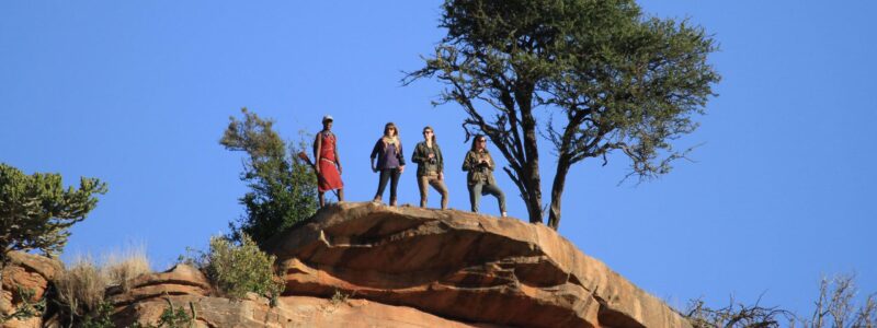 jimmy_greenwood_2013-03-01_08-05-591