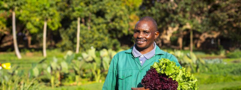 veggiegarden_tcunniffe_403