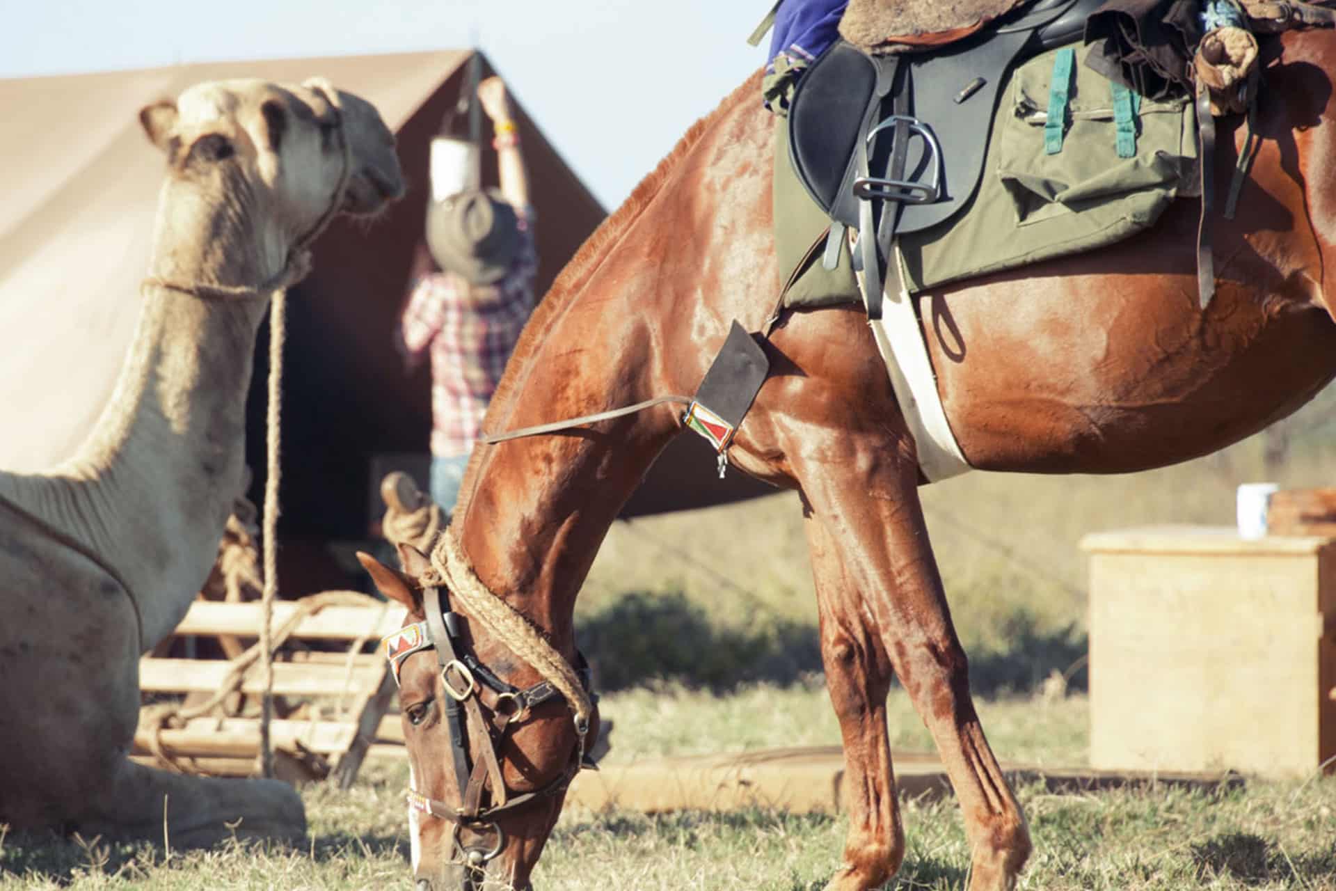 African horseback safari at Ol Malo Nomad Camp