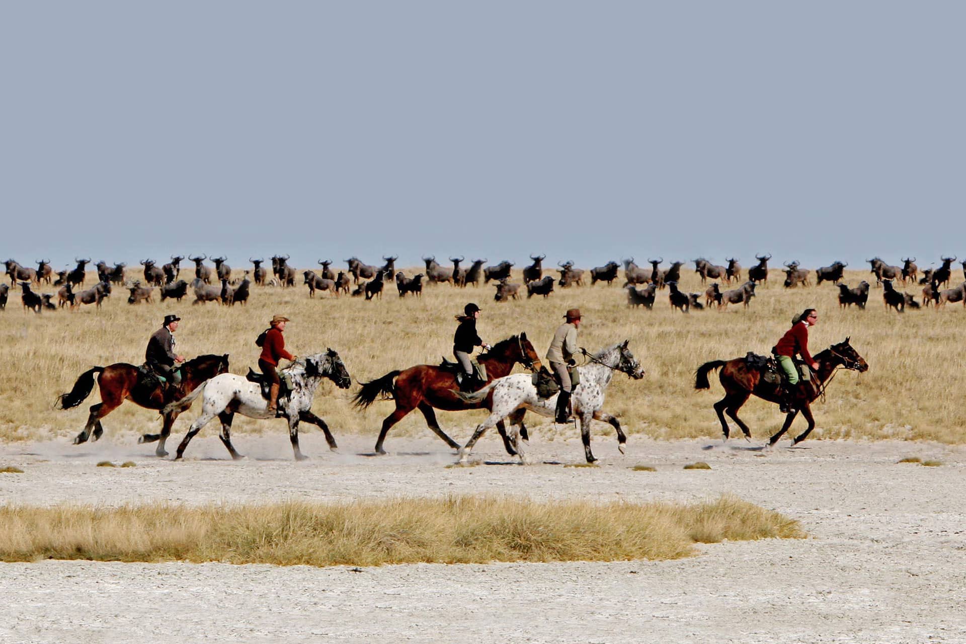 African horseback safari galloping through Makgadikgadi Salt Pans at San Camp