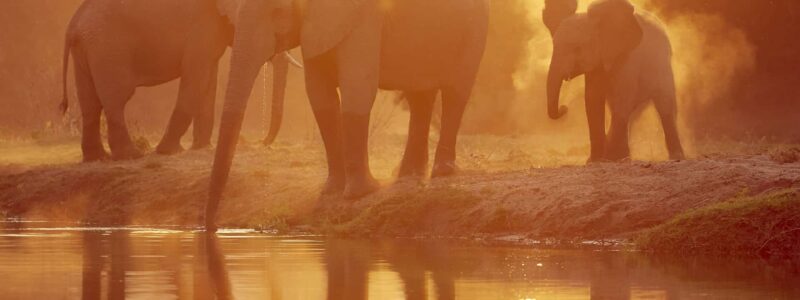 Time-Tide-Chongwe-River-Camp_1