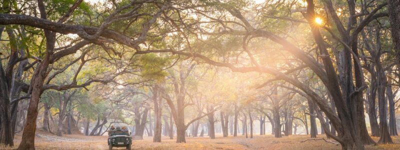Time-Tide-South-Luangwa-00019-scaled