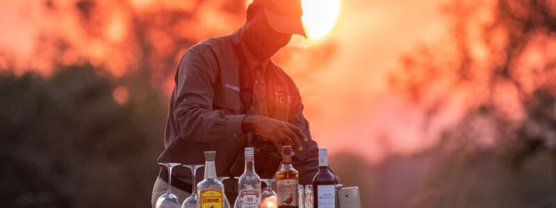 Time-Tide-South-Luangwa-00037-scaled