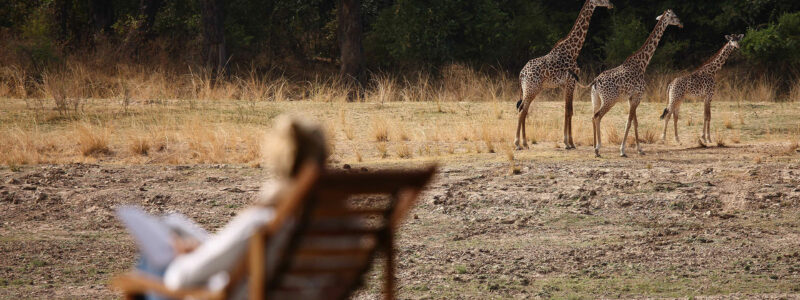View-from-Time-+-Tide-Chinzombo
