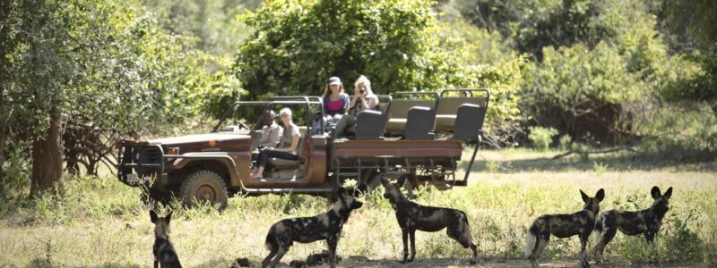 chongwe_activities_2015-42.1