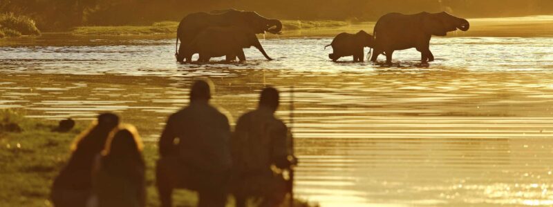 chongwe_activities_2015-74.1