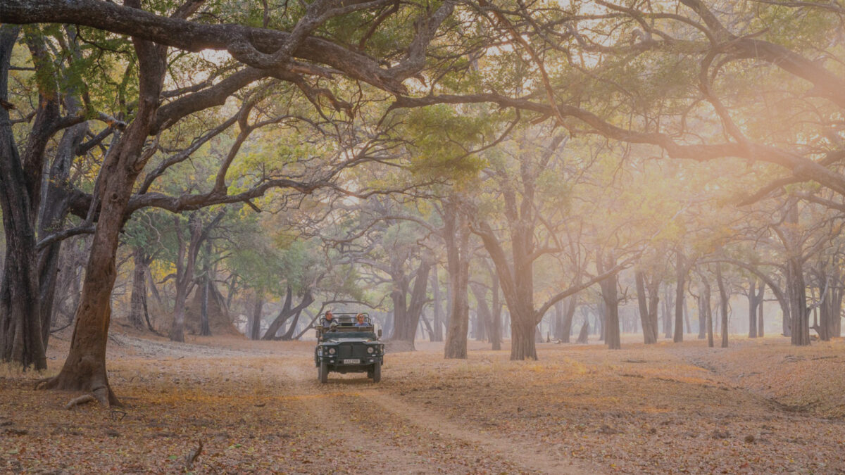 Jeep driving through beautiful Zambia landscape illuminated by African sun on safari.