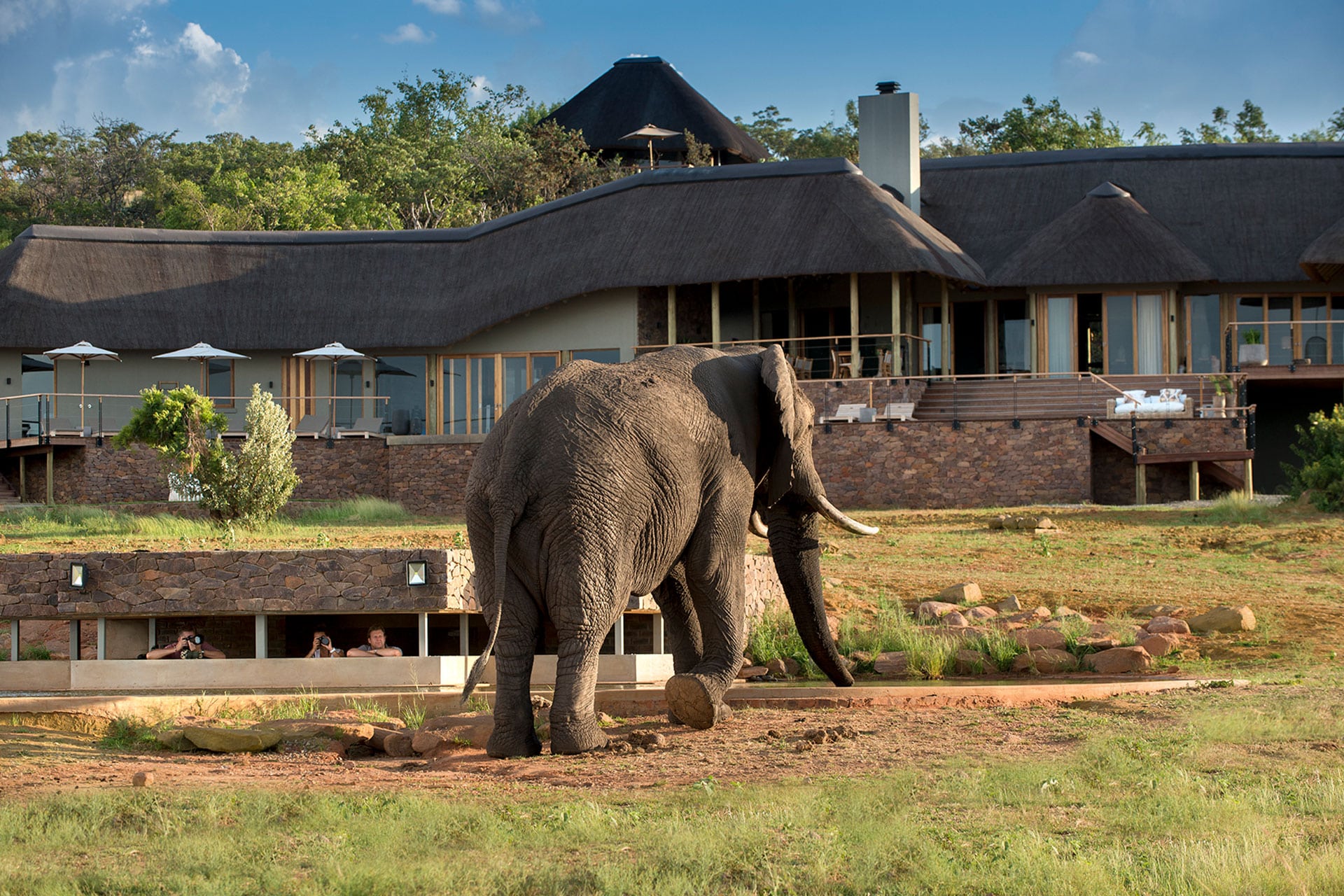 An elephant at the waterhole with Mhonodoro Safari Lodge in the background.