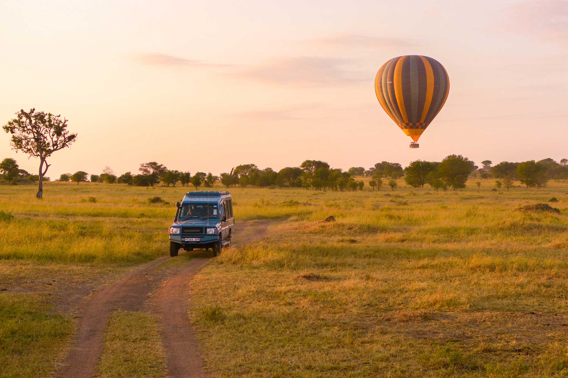 Hot air balloon floating above the African savanna at sunrise, with a safari vehicle on the ground below, offering a breathtaking blend of adventure and serenity.