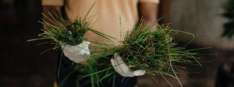 Fresh-produce-in-the-Fusion-restaurant