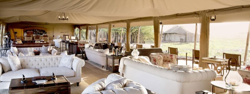 Main-Guest-Lounge-and-Bar