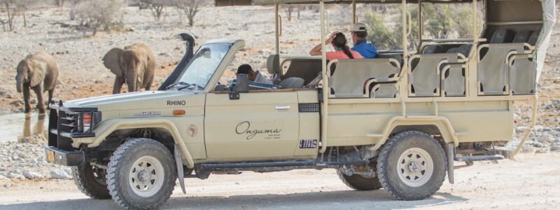 Onguma-Nature-Reserve