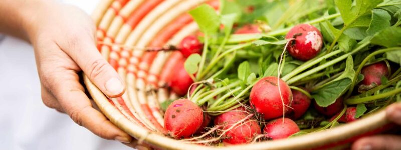 Singita Kwitonda Lodge Dining