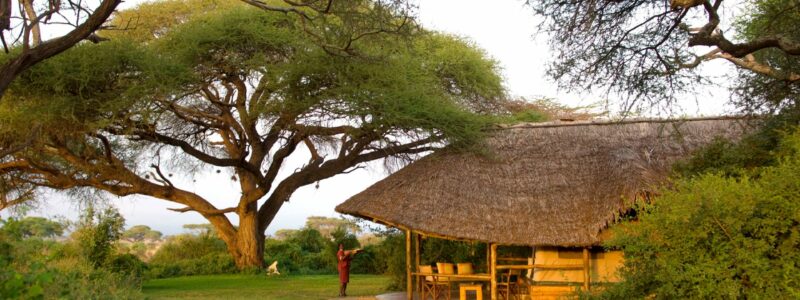 Tortilis-Camp---Tent-Exterior1