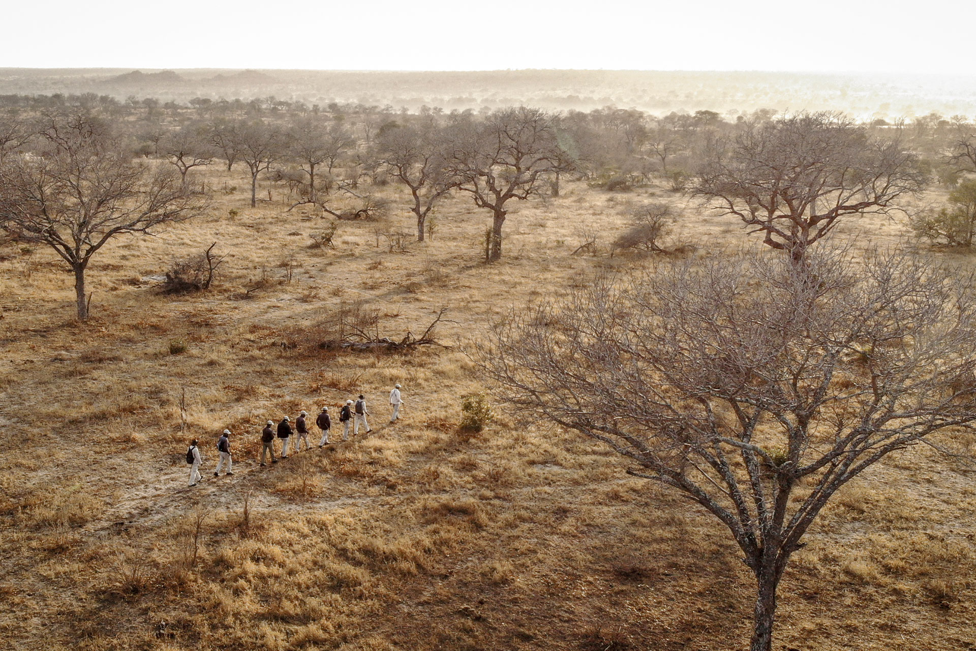 People walking in a line on a walking safari in Africa. 
