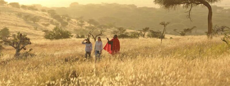 elewana_kifaru_house_lewa_-_activities_-_bush_walk_-_2