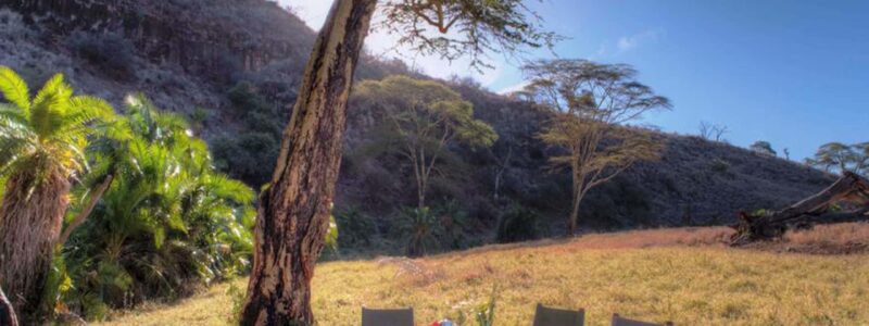 lewa__-_activities_-_bush_breakfast-17