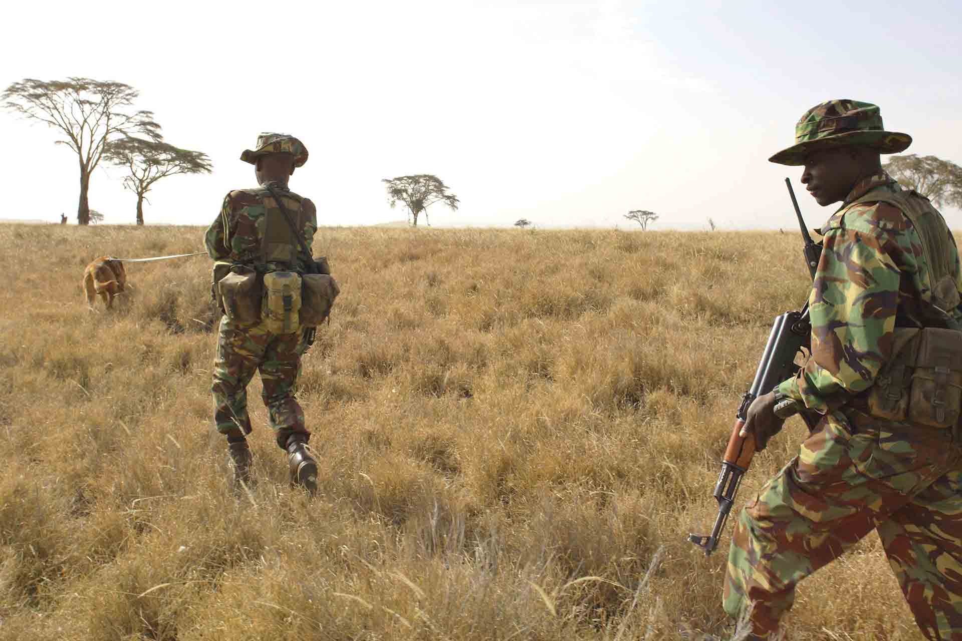 Rhino conservation at Lewa Conservancy in Kenya