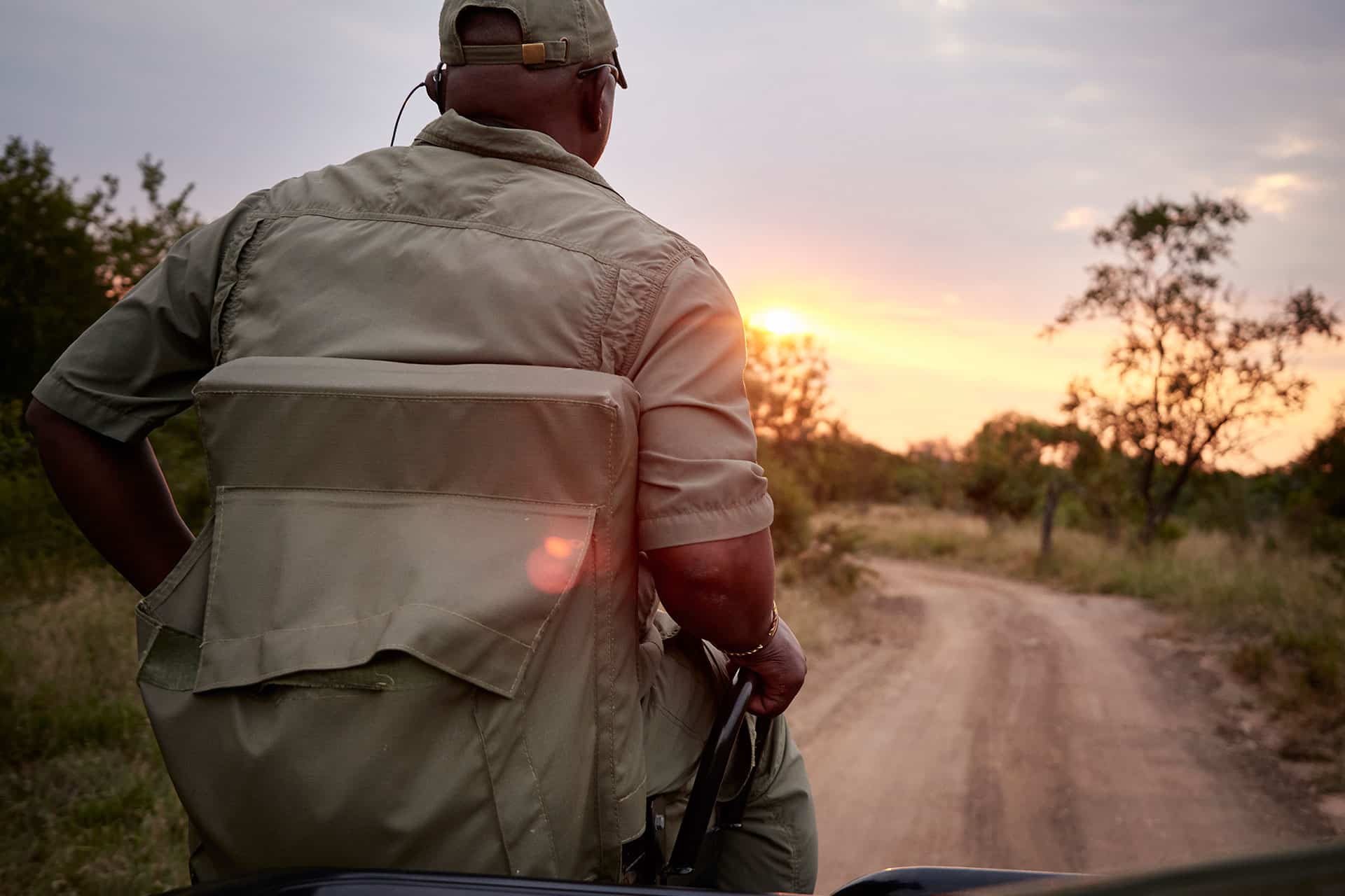 A tracker on a safari in Africa during a game drive. 