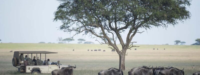 singita_grumeti_wildlife_-_mike_sutherland_188