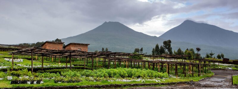 singita_kwitonda_lodge_nursery