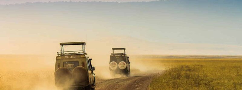 9670696239_0f728e0ded_z