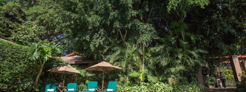 Elewana-Arusha-Coffee-Lodge_2