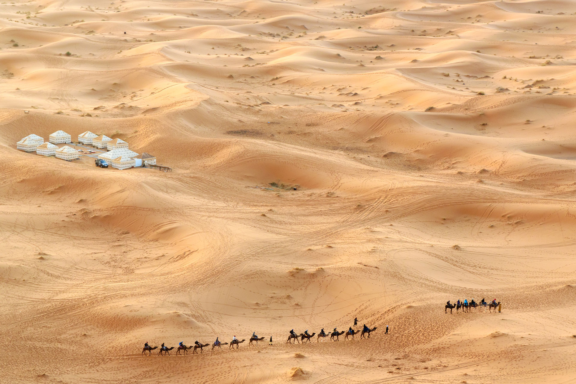 Moroccan tents and camels at the Erg Chigaga Luxury Desert Camp in the Sahara desert.