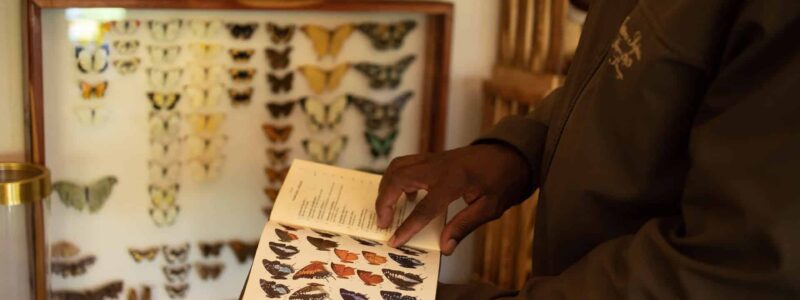 The-Explorers-Tent-(1)