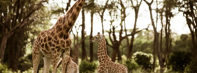 kelly__baby__daisy_baby-_02