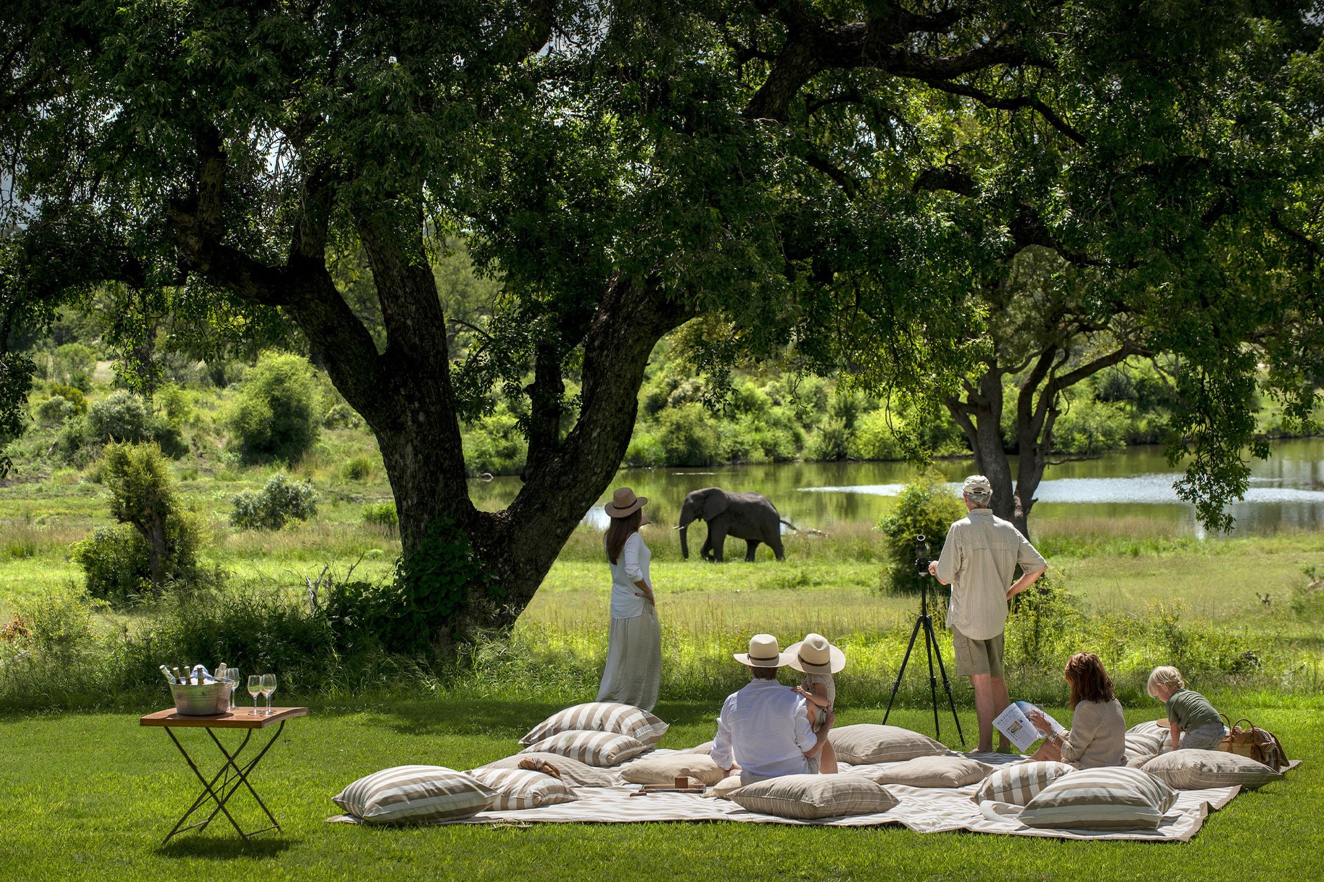 People having a picnic and watching an elephant in the river below.