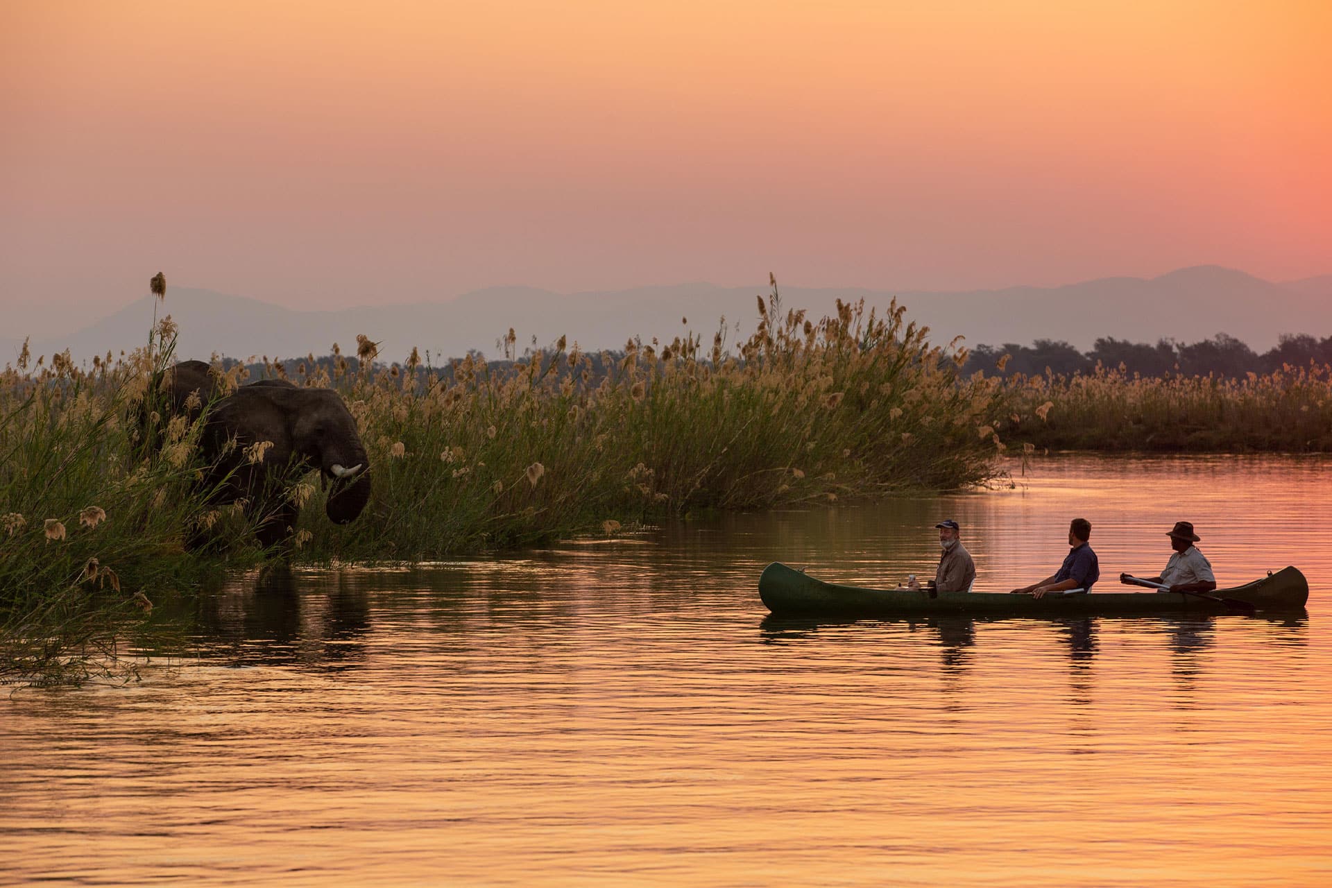An elephant spotted on a canoe safari on the mighty Zambezi River at Tembo Plains Camp. 