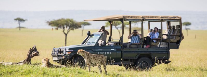 angama-vehicle-and-cheetah