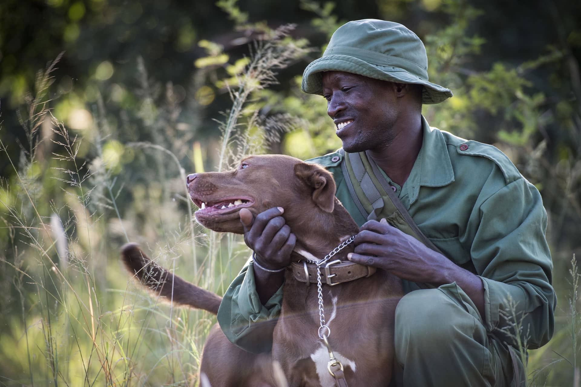 A ranger and dog used as part of Singita Sabi Sands&rsquo; dedicated anti-poaching canine unit.