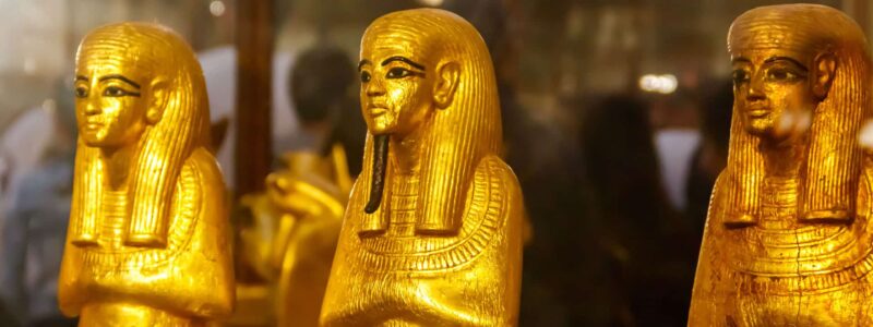 AdobeStock_248045929