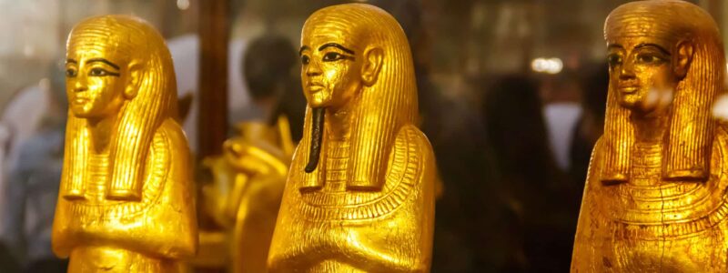 AdobeStock_248045929