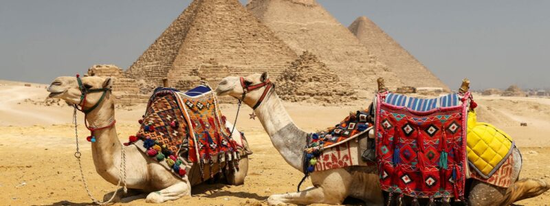 AdobeStock_281115750