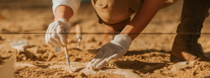 AdobeStock_427483218