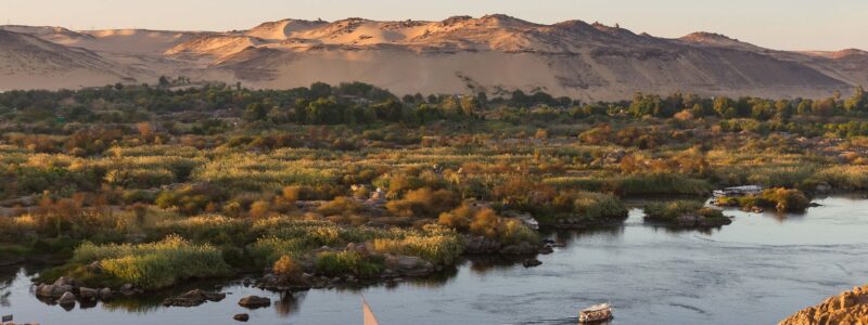 AdobeStock_70782934-(1)