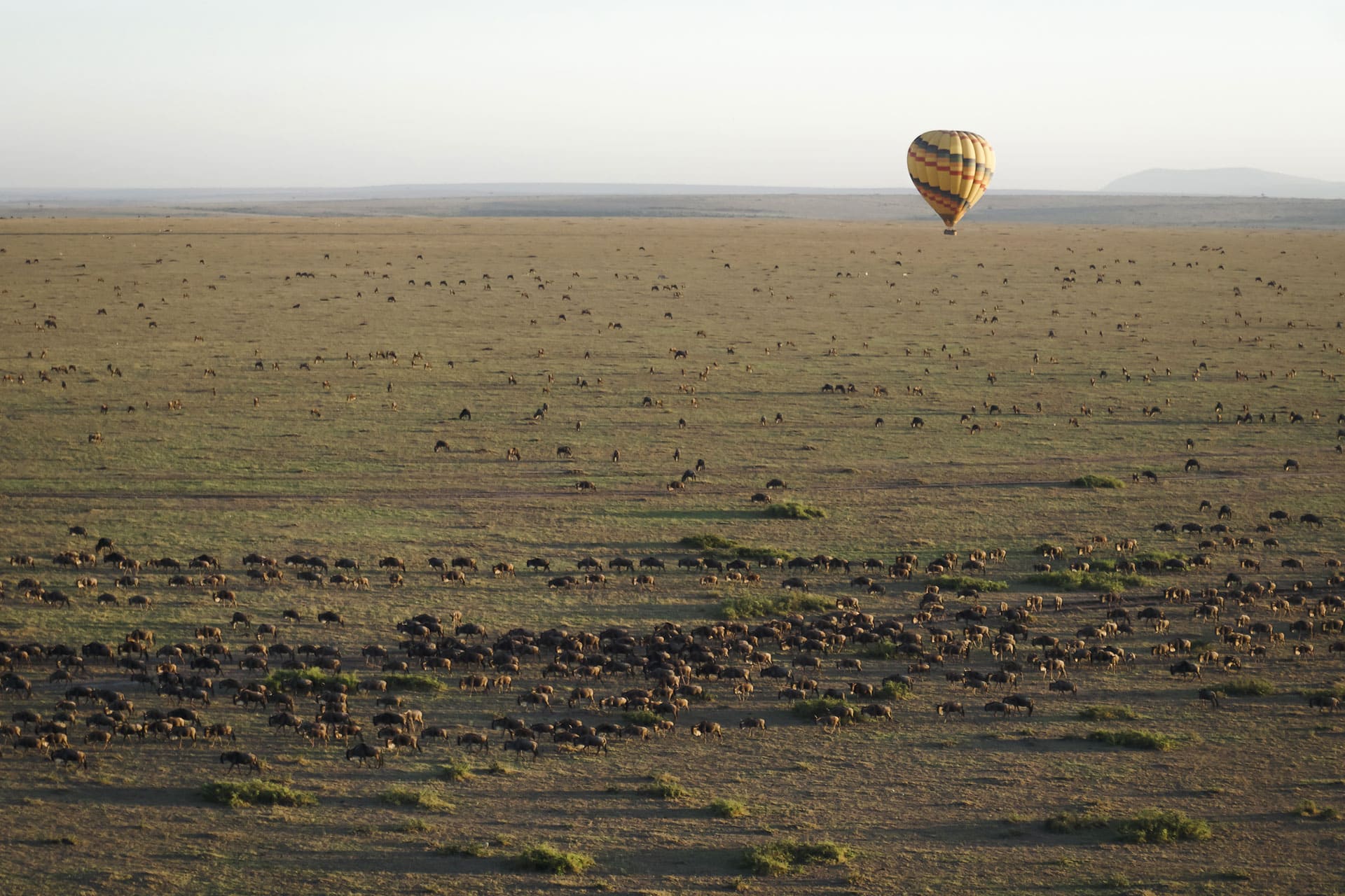 A hot air balloon safari over the plain of the Serengeti National Park in Tanzania &ndash; one of the top honeymoon destinations in Africa. 