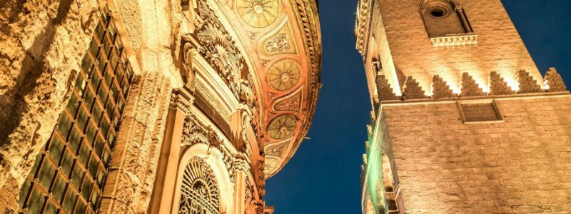 shutterstock_495126196-min