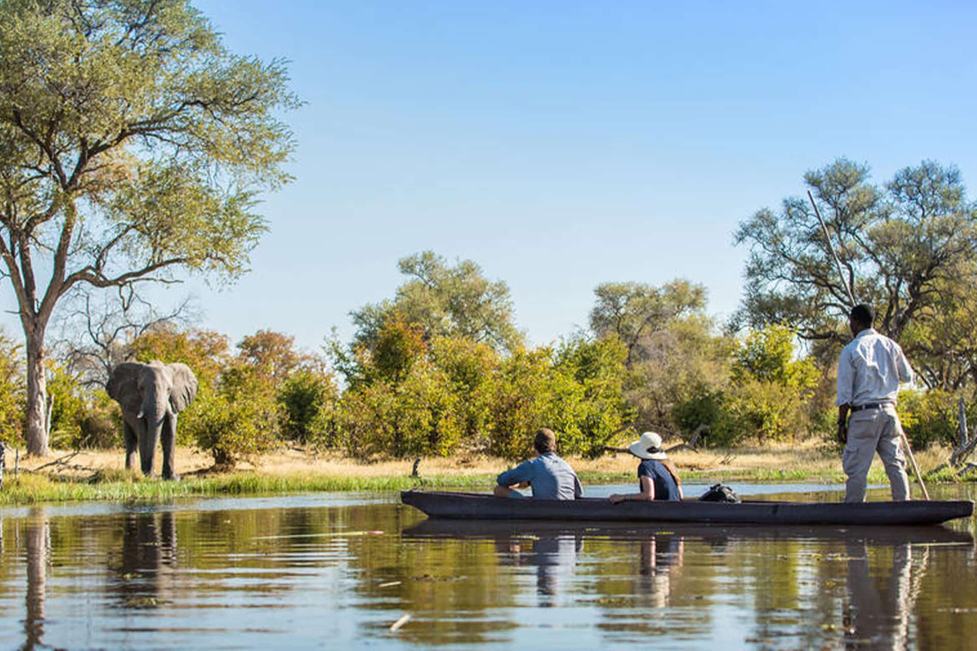 An elephant spotted on the banks of the Kiri Channel during a mokoro safari at Kiri Camp &ndash; one of the new luxury lodges in Africa 2022.