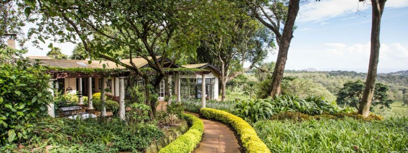 Pathway-to-the-dining-room