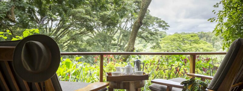 Views-from-the-verandah