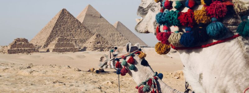 fynn-schmidt-IYKL2uhgsnU-unsplash