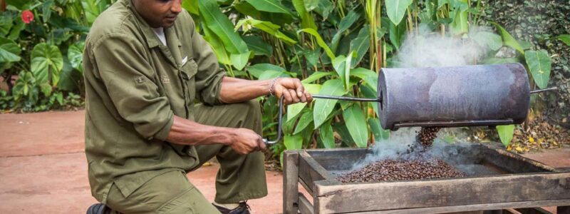 gibbs_farm_-_copyright_scott_ramsay-173